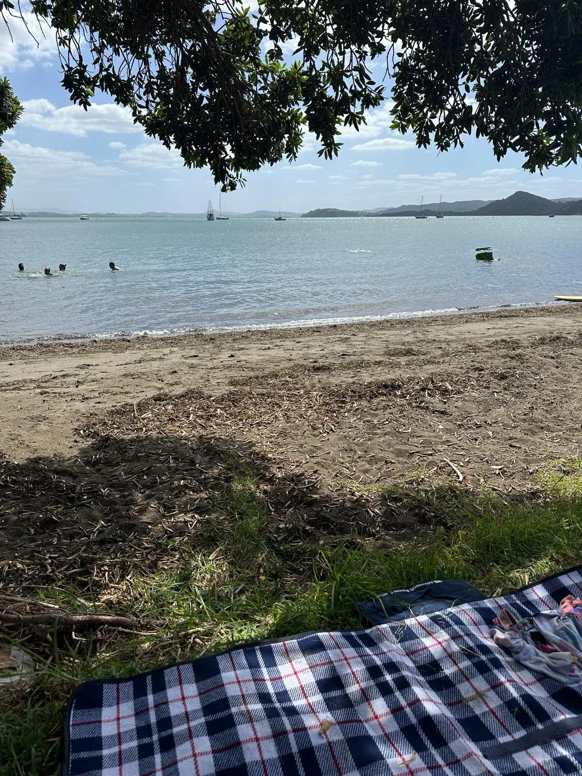 mcleods bay.jpg