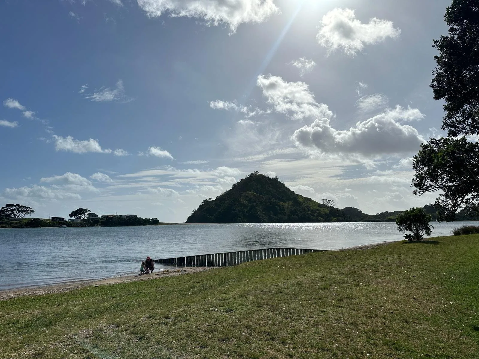 pataua south.jpg
