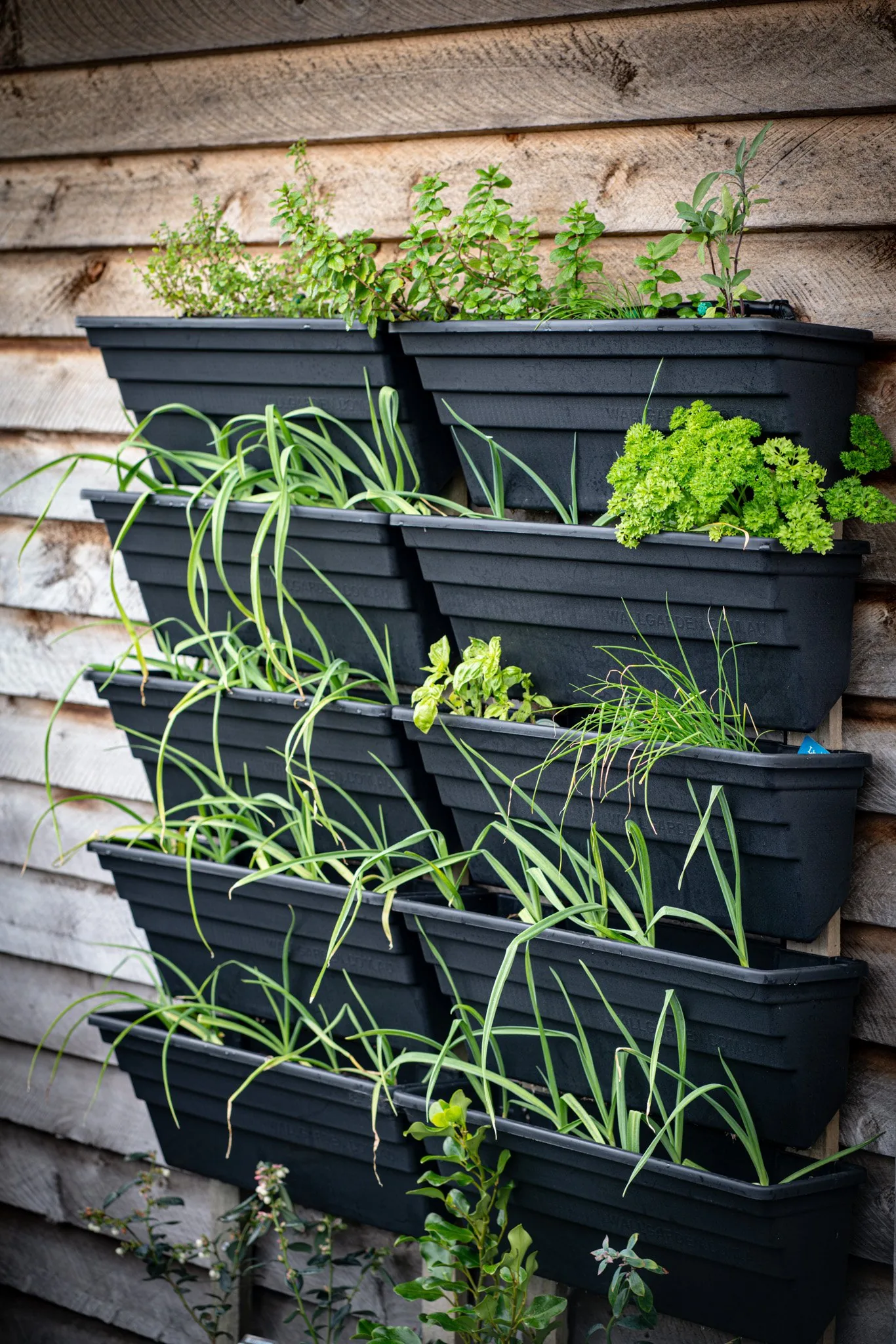 HiTech Hippies-hanging herbs-003.jpg